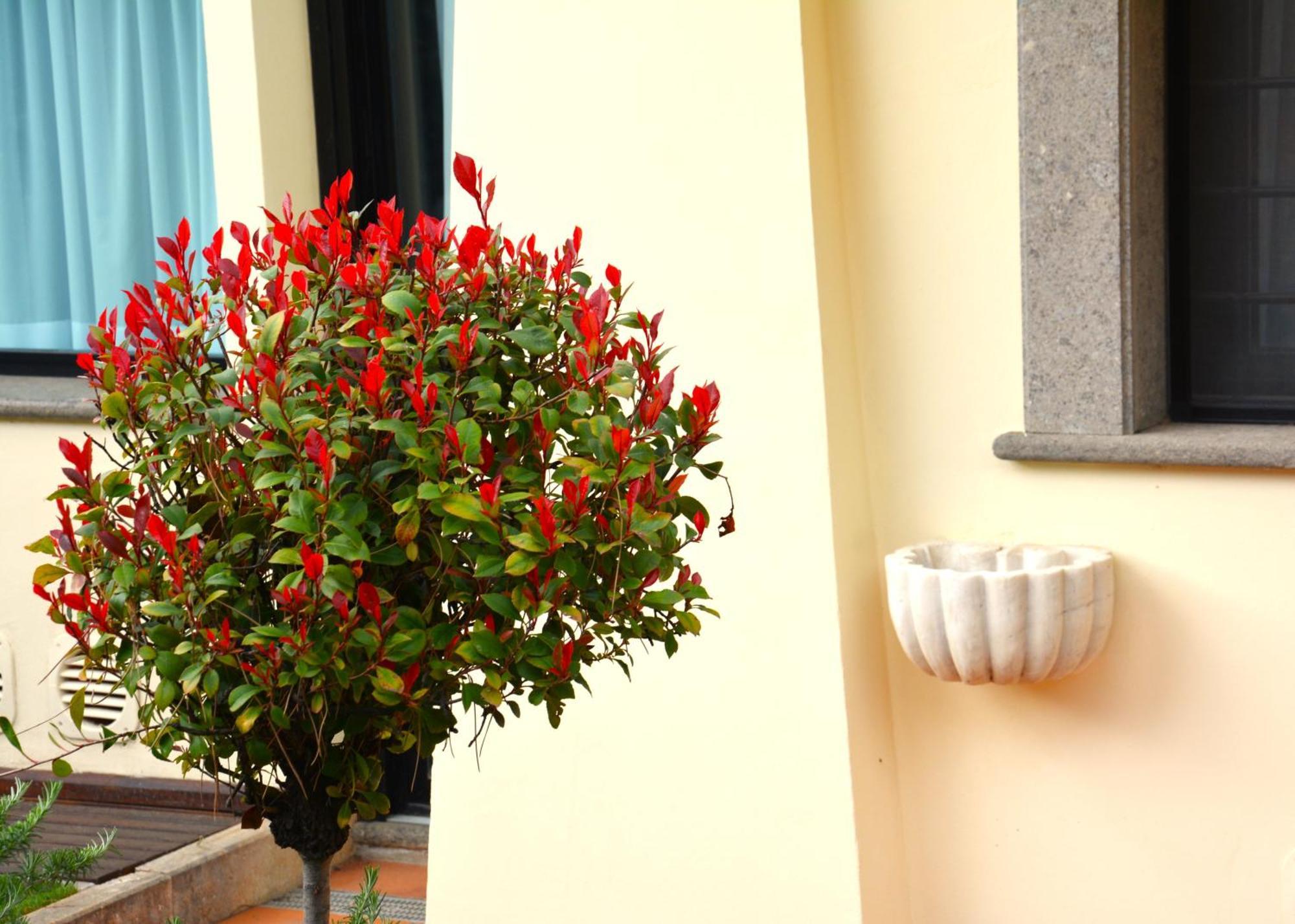 Gemelli Hotel Roma Esterno foto